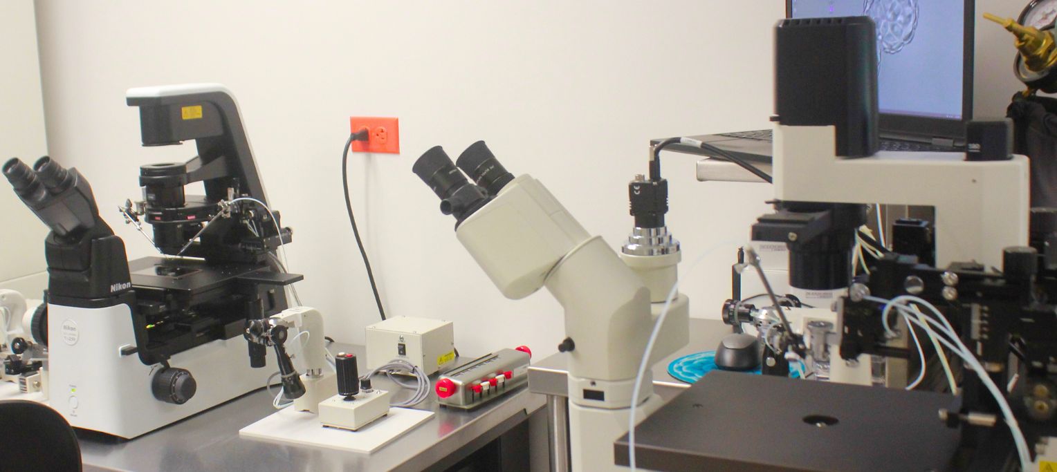 A microscopes and other equipment Description automatically generated